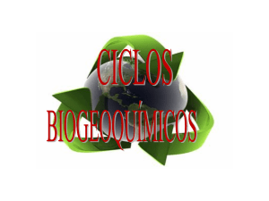 Ciclos Biogeoq