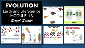 EVOLUTION Module13 rev1