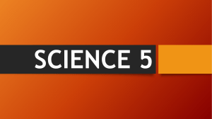 MG SCIENCE 5&6