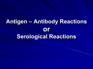antigen-e28093-antibody-reactions