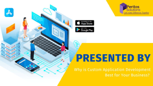 Why is Custom Application Development Best for Your Business