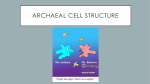 Archaeal Cell Structure