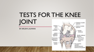 Tests for the knee joint 