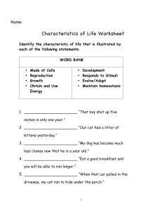 Characteristics of Life Student Worksheet
