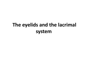 The eyelids and the lacrimal system