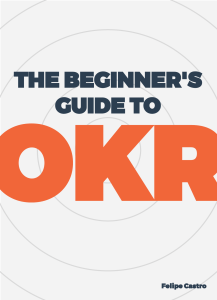 Beginners Guide to OKR