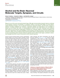 Alcohol and the Brain: Neuronal Molecular Targets, Synapses, and Circuits