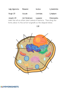 cell structure grade 8