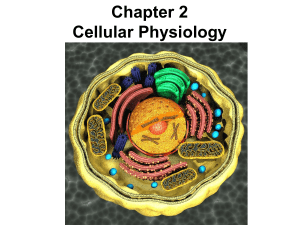 Chapter 2 The Cell and its Function