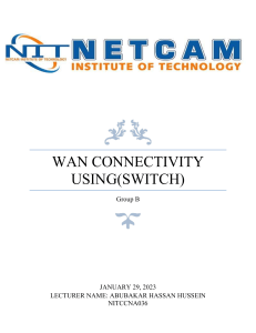 WAN CONNECTIVITY USING SWITCH