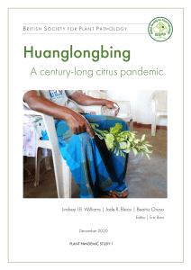 Plant Pandemic Report 1: Huanglongbing - a century long pandemic