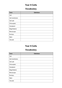 CELLS Vocabulary List
