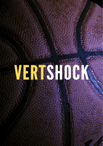 Vert Shock PDF Program, Workouts and Results (1)