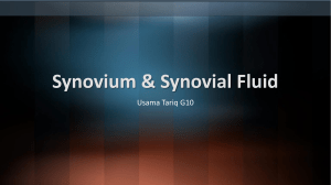 Synovium ^0 Synovial Fluid