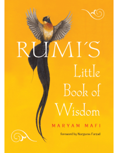 rumis-little-book-of-wisdom-1642970255-9781642970258