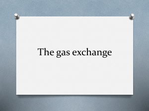 The gas exchange system IGCSE biology