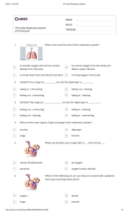 7th Grade Respiratory System