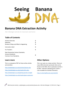 Extracting-DNA-from-Banana
