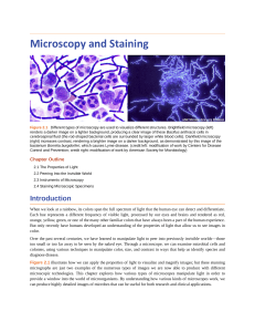 1-Microscopy and Staining
