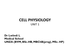 1.3 Cell Pgy-transport