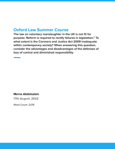 Merna Abdelsalam - Oxford Summer Course Essay