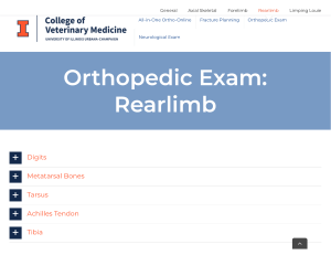 Orthopedic Exam  Rearlimb – All-in-One Ortho-online