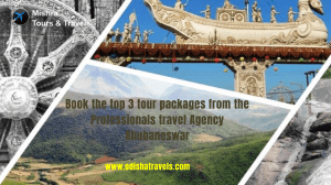 Book the top 3 tour packages from the Professionals travel Agency Bhubaneswar