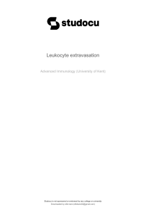 leukocyte-extravasation