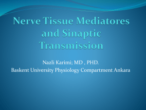 Nerve Tissue Mediatores and Sinaptic Transmission