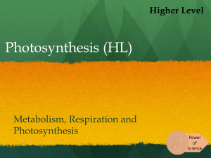8.3-Photosynthesis