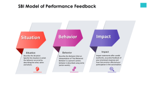 SBI Model of Performance Feedback
