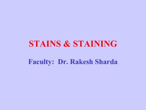 Stains---staining