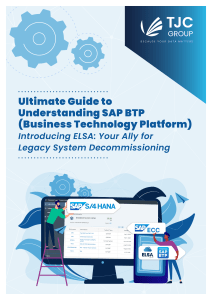 Ultimate Guide to Understanding SAP BTP Introducing ELSA