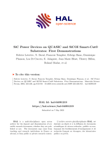 Sic Power Devices