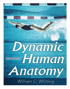 ebook-dynamic-human-anatomy-2nd-edition