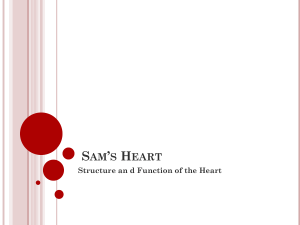 Sam's Heart updated