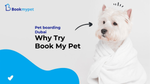 Pet boarding Dubai: Why try Book My Pet