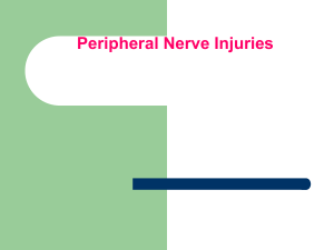 Peripheral Nerve Injuries (1)