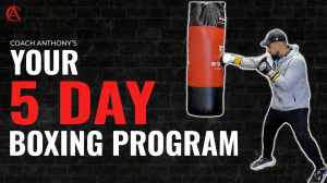Boxing 5 day program 