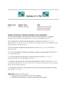 Fish Anatomy - MS-107