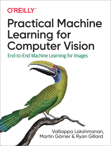 dokumen.pub practical-machine-learning-for-computer-vision-end-to-end-machine-learning-for-images-1nbsped-1098102363-9781098102364