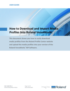 VWKS How to Download and Import Profiles User Guide