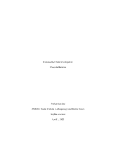 ANT204  Commodity Chain Paper