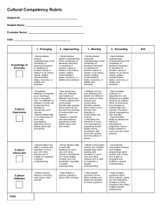 cultural competency rubric