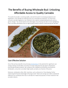 The Benefits of Buying Wholesale Bud Unlocking Affordable Access to Quality Cannabis