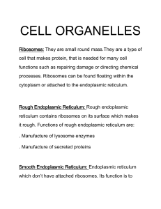 CELL ORGANELLES 2