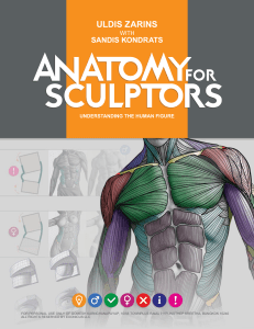 Anatomy For Sculptors