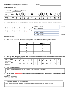 Bio30DNAProteinSythAssignment072020 1