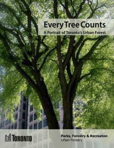 2010 Every-tree-counts-portrait-of-torontos-urban-forest