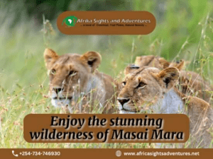 Things To Do On A Camping Safari In Kenya